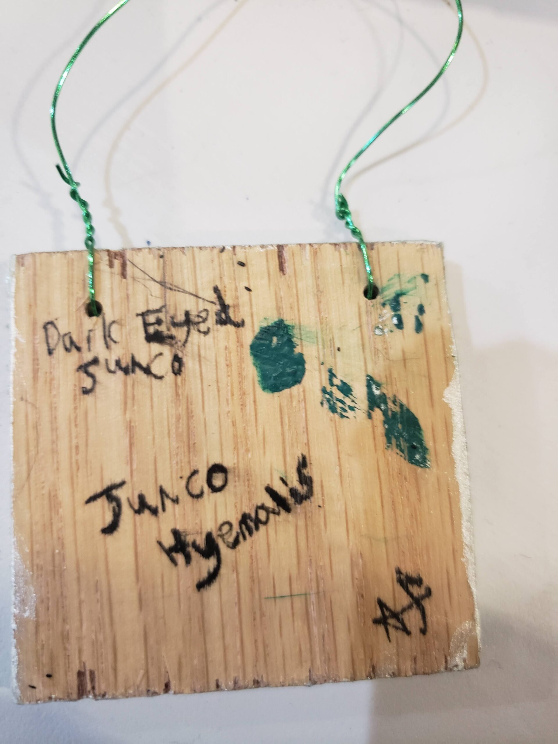 The back of the Dark Eyed Junco ornament. There's some ink splotched, the name "Dark Eyed Junco" along with "Junco Hyealis" and on the bottom right side the initials AF