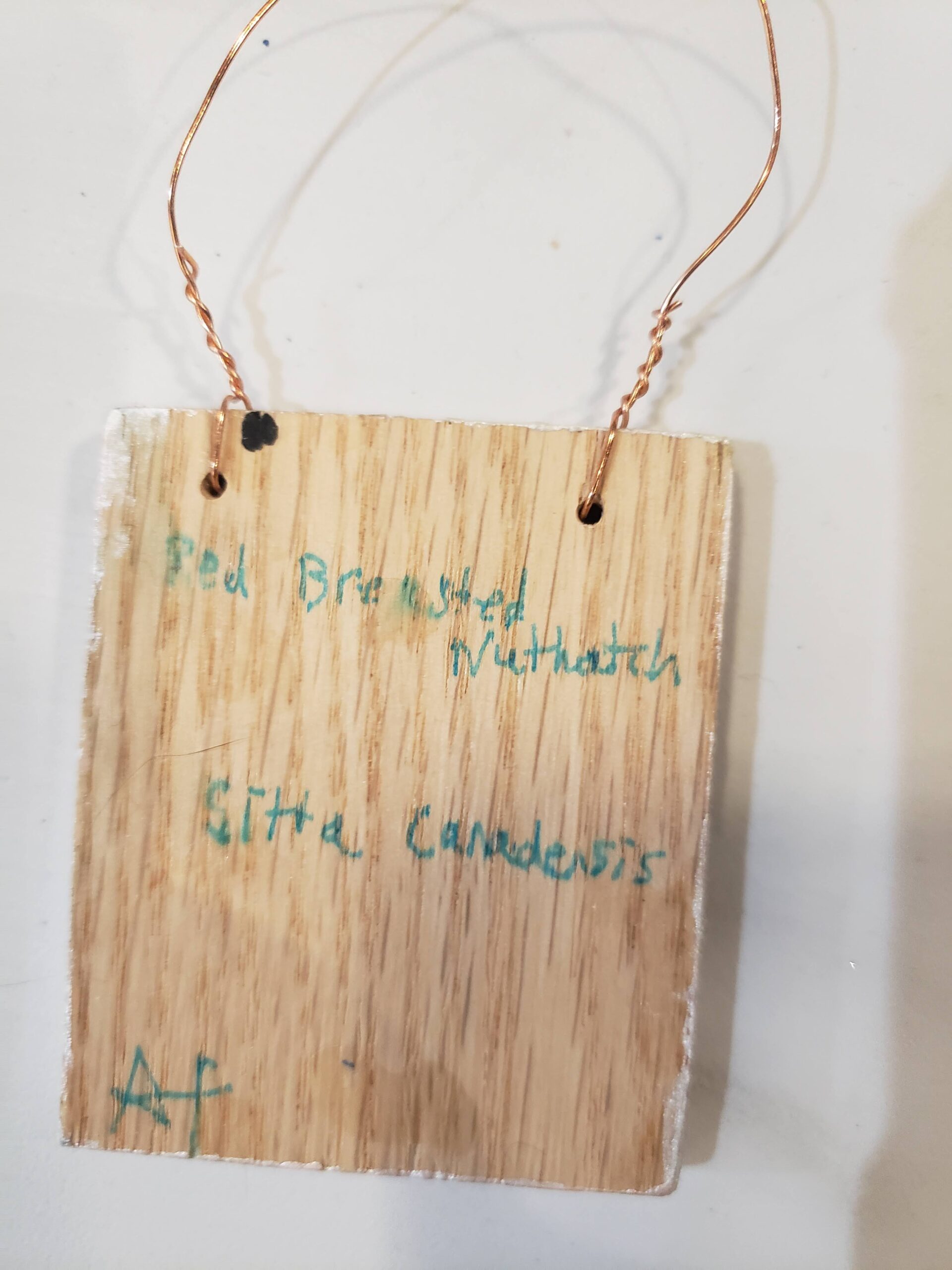 Bird Ornaments - Image 4