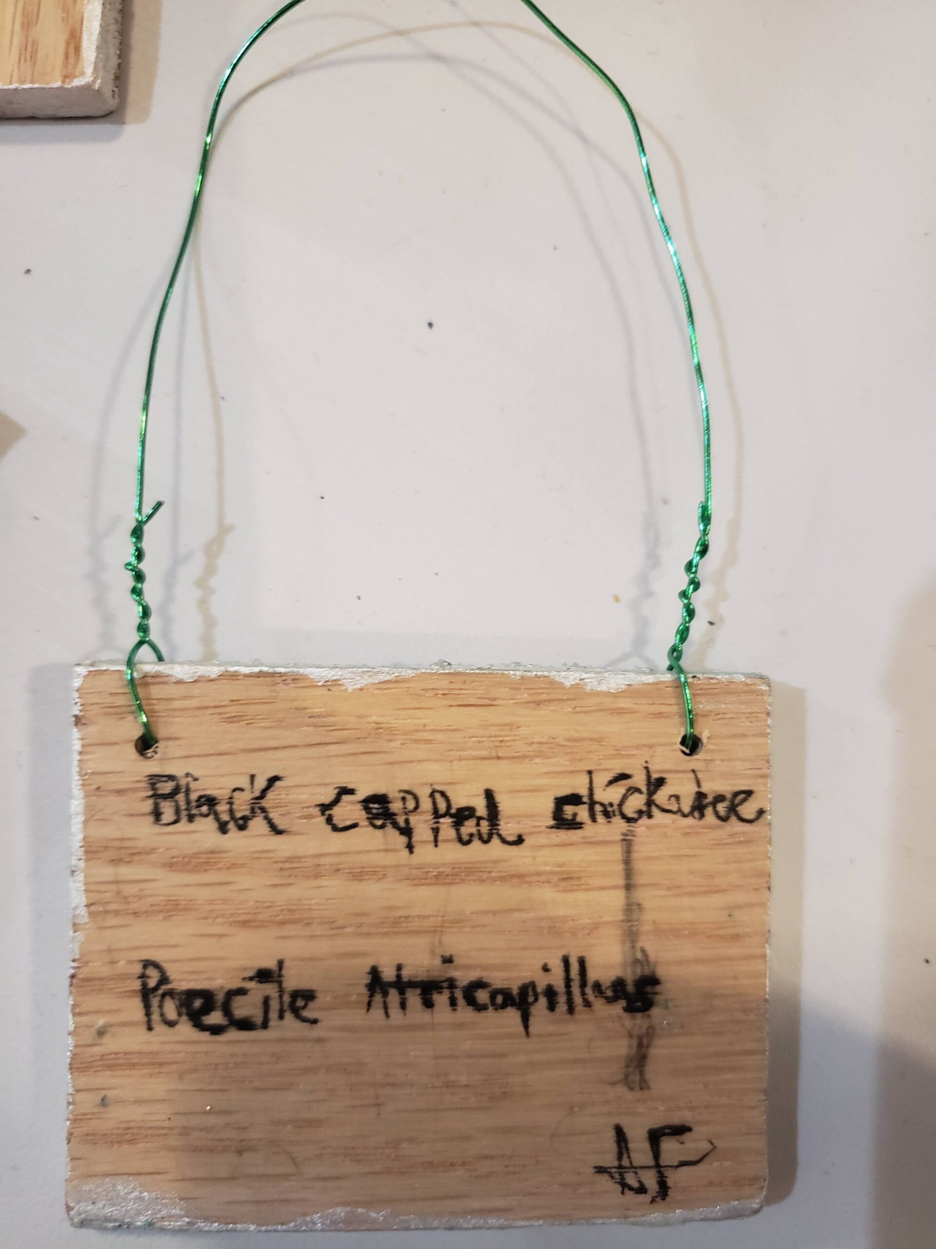 Bird Ornaments - Image 7