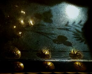 an abstract photograph, dark curves at the top and sides like curtains, three golden circles at the bottom on a black band with golden line underneath them, they're reflected up onto a bluish background towards the left top corner are a group of more golden spots. there's a branch of silhouetted flowers and leaves cross the middle and near the top right is a bright white circle like a full moon.